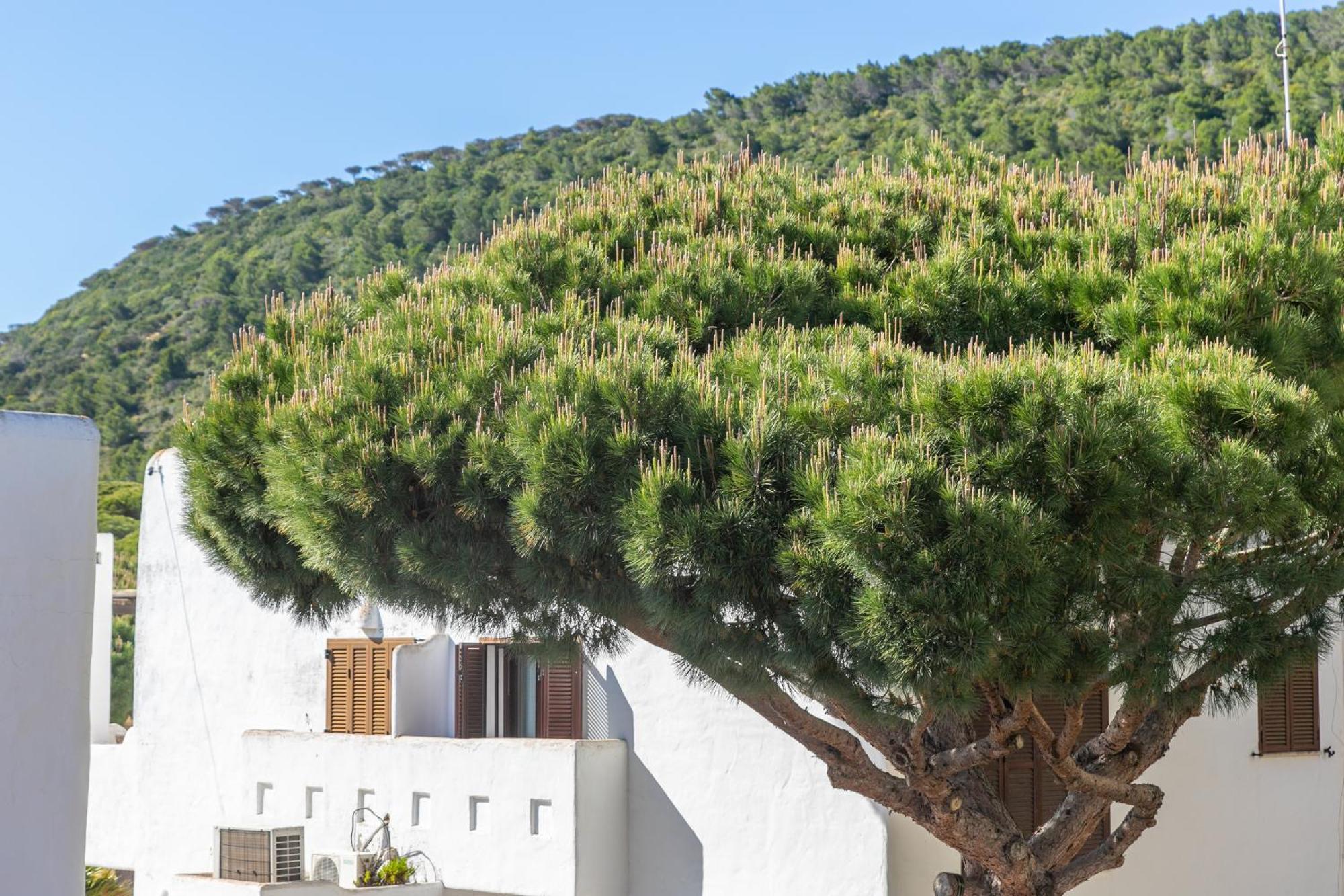Adosado Nuevo Con Piscina, Playa, Garaje Y Jardin Los Canos De Meca Luaran gambar